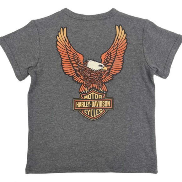 Harley-Davidson Little Boys' Eagle Knit Henley Short Sleeve Toddler Shirt Gray - Picture 2 of 2